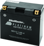 BikeMaster AGM Battery - MS12-14B-4 BikeMaster Batteries  AXOPROS
