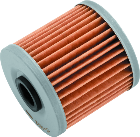 BikeMaster Kawasaki BM-123 Oil Filter - Black BikeMaster Oil Filters  AXOPROS