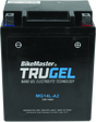 BikeMaster TruGel Battery - MG14L-A2 BikeMaster Batteries  AXOPROS
