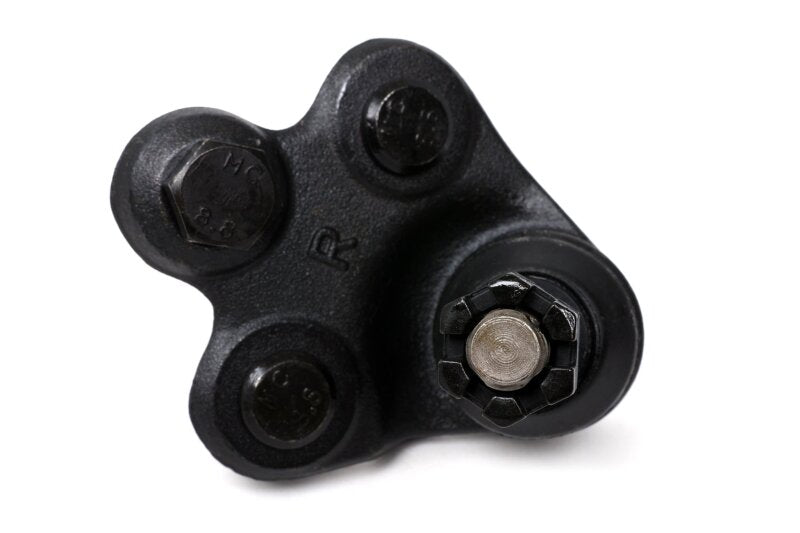 BLOX Racing Roll Center Adjusters / Extended Front Ball Joints - 06-11 Honda Civic (Pair) BLOX Racing Suspension Arms & Components  AXOPROS