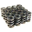BLOX Racing Valve Springs for B18A-B / B20 (1.8L-2.0L DOHC) BLOX Racing Valve Springs, Retainers  AXOPROS