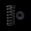 Brian Crower Honda L15B7 Spring & Steel Retainer Kit Brian Crower Valve Springs, Retainers  AXOPROS