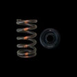 Brian Crower Mazda MZR Valve Spring & Retainer - Steel Retainers Brian Crower Valve Springs, Retainers  AXOPROS