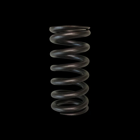 Brian Crower Toyota 2ZZFE Single Valve Spring Brian Crower Valve Springs, Retainers  AXOPROS
