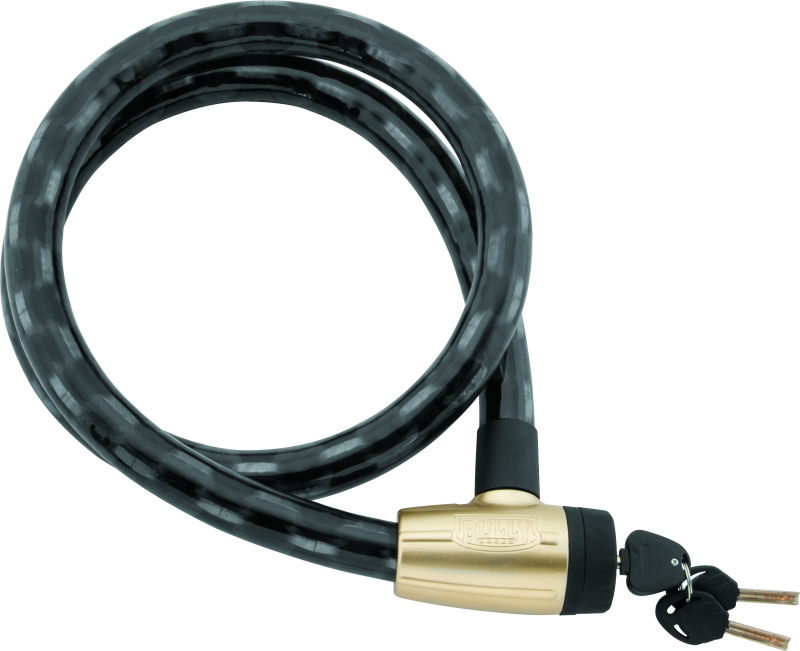 Bully Lock Heavy Duty 5.5 Chain PVC Coated Integrated Lock BikeMaster Security Locks  AXOPROS