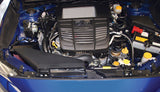 K&N 2015 WRX Black Typhoon Short Ram Intake K&N Engineering Cold Air Intakes  AXOPROS