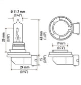 Hella Optilux H9 12V/100W XB Xenon White Bulb (pair) Hella Bulbs  AXOPROS
