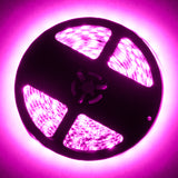 Oracle Exterior Black Flex LED 12in Strip - RGB ColorSHIFT ORACLE Lighting Light Strip LED  AXOPROS