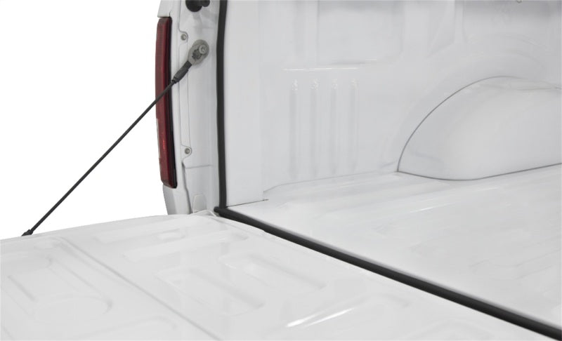 Access Accessories TRAILSEAL Tailgate Gasket 1 Kit Fits All Pickups Access Sealants  AXOPROS