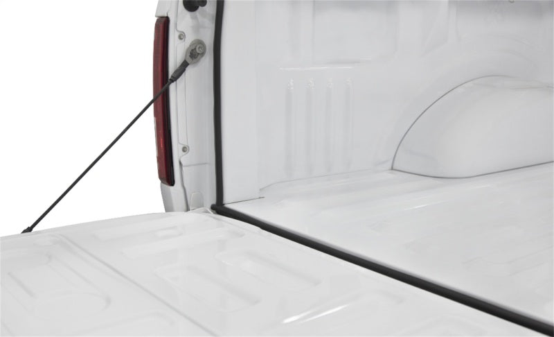 Access Accessories TRAILSEAL Tailgate Gasket 1 Kit Fits All Pickups Access Sealants  AXOPROS