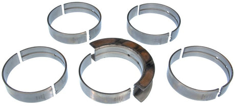 Clevite Cummins B Series 6 Cyl Contains Flange Bearing Main Bearing Set Clevite Bearings  AXOPROS