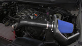 Corsa Apex 1518 Ford F-150 5.0L DryTech Metal Intake System CORSA Performance Cold Air Intakes  AXOPROS