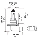 Hella 9006 12V 55W Halogen Bulb Hella Bulbs  AXOPROS