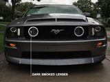 Raxiom 05-12 Ford Mustang GT LED Halo Fog Lights (Smoked) Raxiom Headlights  AXOPROS