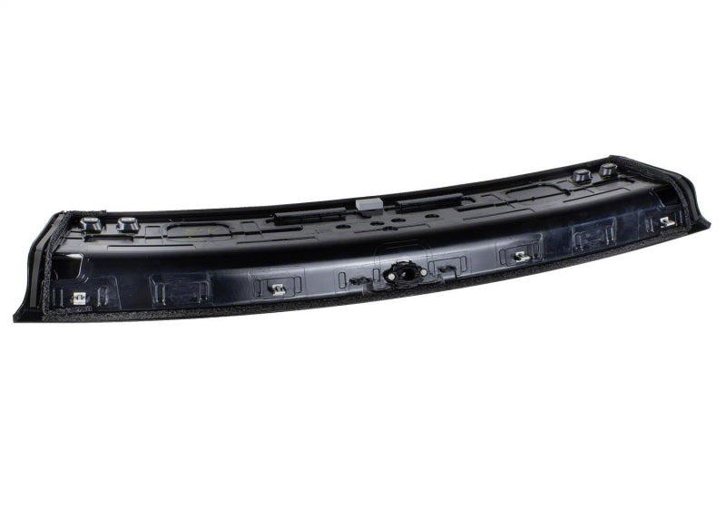 Ford Racing 15-21 Mustang Deck Lid Trim Panel Ford Racing Spoilers  AXOPROS
