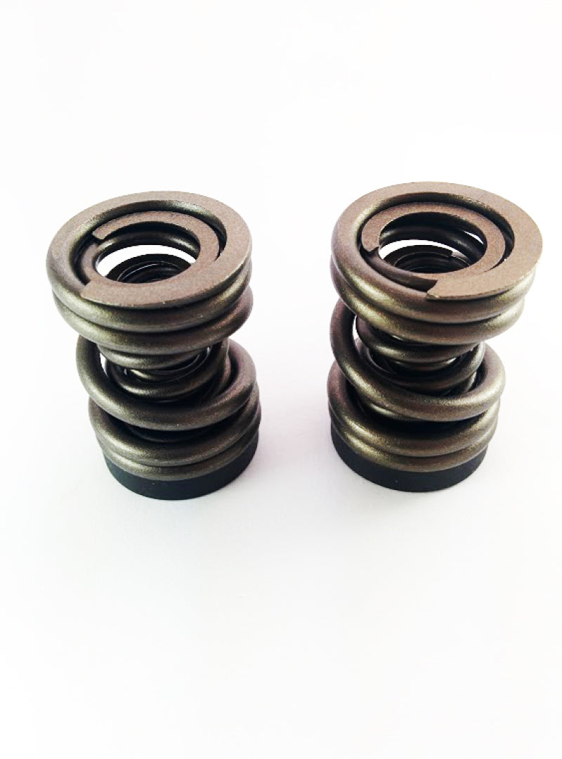 DDP Dodge 94-98 P-Pump 3000 & 4000 RPM Governor Spring Kit DDP Injection Pump Components  AXOPROS