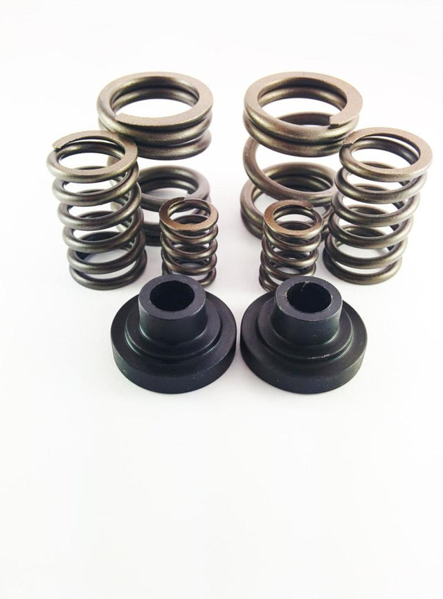 DDP Dodge 94-98 P-Pump 3000 & 4000 RPM Governor Spring Kit DDP Injection Pump Components  AXOPROS