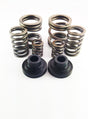 DDP Dodge 94-98 P-Pump 3000 & 4000 RPM Governor Spring Kit DDP Injection Pump Components  AXOPROS