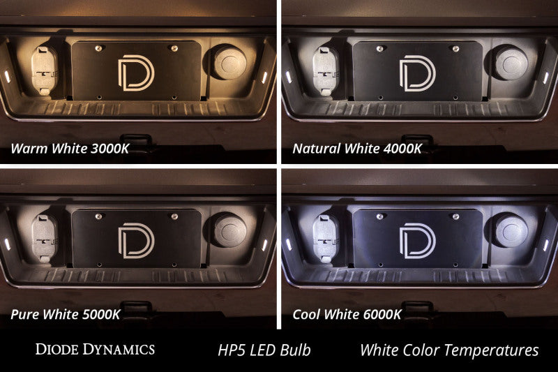 Diode Dynamics 194 LED Bulb HP5 LED Natural - White (Pair) Diode Dynamics Bulbs  AXOPROS