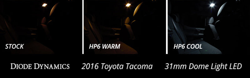 Diode Dynamics 31mm HP6 LED Bulb LED - Cool - White (Single) Diode Dynamics Bulbs  AXOPROS