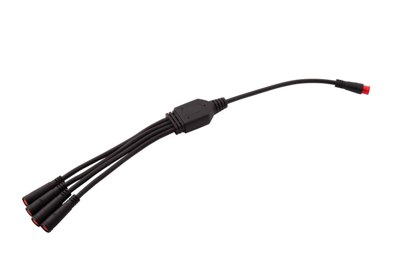 Diode Dynamics RGBW M8 5-Pin Splitter Wire - 1 Diode Dynamics Light Accessories and Wiring  AXOPROS