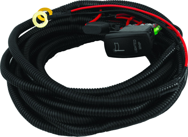 DragonFire Racing Whip Harness - 2 Seat- Dual DragonFire Racing Wiring Harnesses  AXOPROS