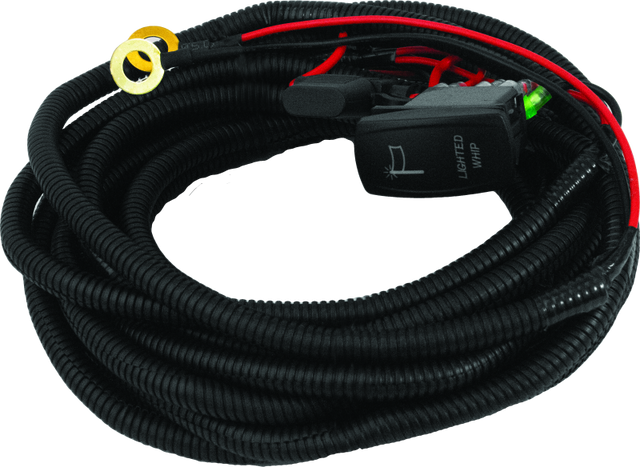 DragonFire Racing Whip Harness - 2 Seat- Dual DragonFire Racing Wiring Harnesses  AXOPROS