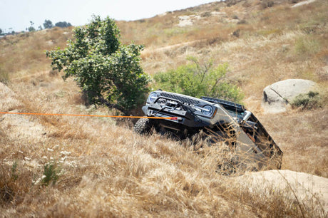 DV8 Offroad Elite Series D-Ring Shackles - Pair (Black) DV8 Offroad Bumper Accessories  AXOPROS