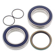 All Balls Racing 08-09 Ski-Doo MX Z 500 SS Trail Drive Shaft Bearing & Seal Kit Lower Shaft - Track All Balls Racing Driveshafts  AXOPROS