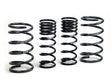 H&R 00-05 Ford Focus/Focus SVT DAW Sport Spring (Non Wagon) H&R Lowering Springs  AXOPROS
