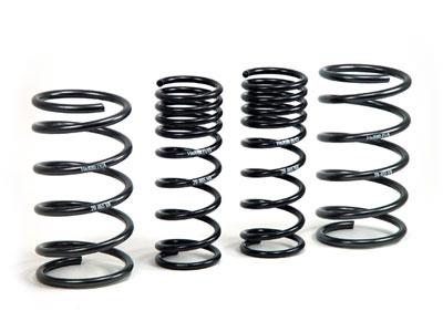H&R 00-05 Ford Focus/Focus SVT DAW Sport Spring (Non Wagon) H&R Lowering Springs  AXOPROS