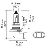 Hella 9006 12V 55W Halogen Bulb Hella Bulbs  AXOPROS