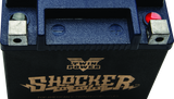 Twin Power YTX-14L Shocker Gel Battery Replaces H-D 65958-04 220 CCA TwinPower Batteries  AXOPROS