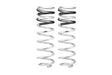 Eibach 21-23 Ford F150 Raptor Pro-Lift-Kit HD Rear Springs (Designed to Use OE Fox Electronic Shock) Eibach Lowering Springs  AXOPROS