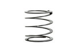 Eibach ERS 2.50 inch dia Coilover Helper Spring Eibach Coilover Springs  AXOPROS