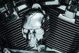 Kuryakyn Skull Horn Cover 17-Up With Waterfall Style Horn Chrome Kuryakyn Horn Accessories  AXOPROS