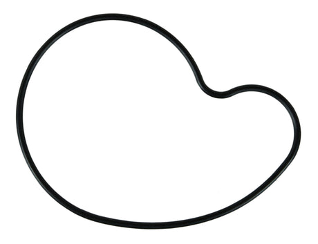 Fel-Pro 15-21 Subaru WRX/13-20 BRZ/13-16 Scion FR-S/17-20 Toyota 86 Engine Water Pump Gasket Fel-Pro Engine Gaskets  AXOPROS