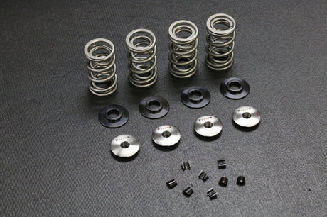 Ferrea Acura K20 Drag Racing Dual Spring Kit Ferrea Valve Springs, Retainers  AXOPROS