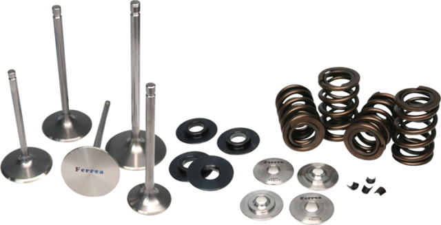 Ferrea BMW N54 Single Spring Kit Ferrea Valve Springs, Retainers  AXOPROS