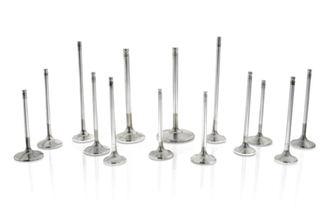 Ferrea Chevrolet LT1 Gen 5 1.6in 0.313in 5.2in 24 Deg S-Flo Rad Grv Super Alloy Exh Valve - Set of 8 Ferrea Valves  AXOPROS