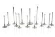 Ferrea Mitsubishi 4G63/4G63T 6.55mm Viton Hi-Temp Exhaust Valve Stem Seal - Set of 8 Ferrea Valve Seals  AXOPROS