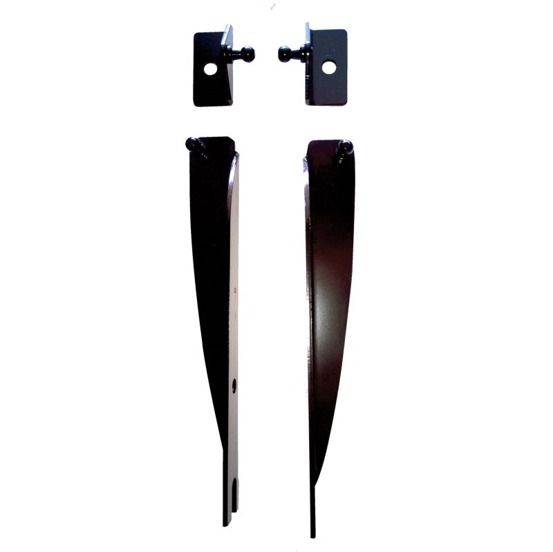 Ford Racing 05-14 Mustang Hood Lift Kit w/ Laser Engraved Ford Performance Logo Ford Racing Hood Struts  AXOPROS