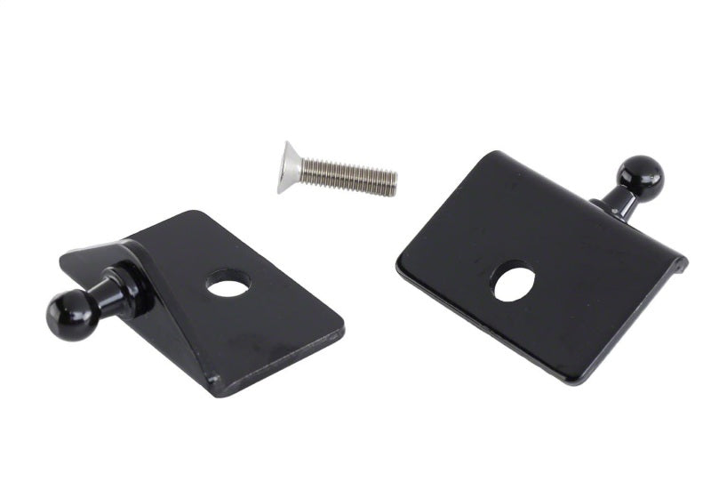 Ford Racing 05-14 Mustang Hood Lift Kit w/ Laser Engraved Ford Performance Logo Ford Racing Hood Struts  AXOPROS