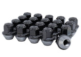 Ford Racing 15-18 Mustang Black Lug Nut Kit (20 Lug Nuts) Ford Racing Lug Nuts  AXOPROS