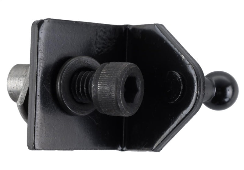 Ford Racing 15-23 Ford Mustang Hood Lift Kit w/Laser Engraving Ford Logo (Excl GT350/GT350R) Ford Racing Hood Struts  AXOPROS