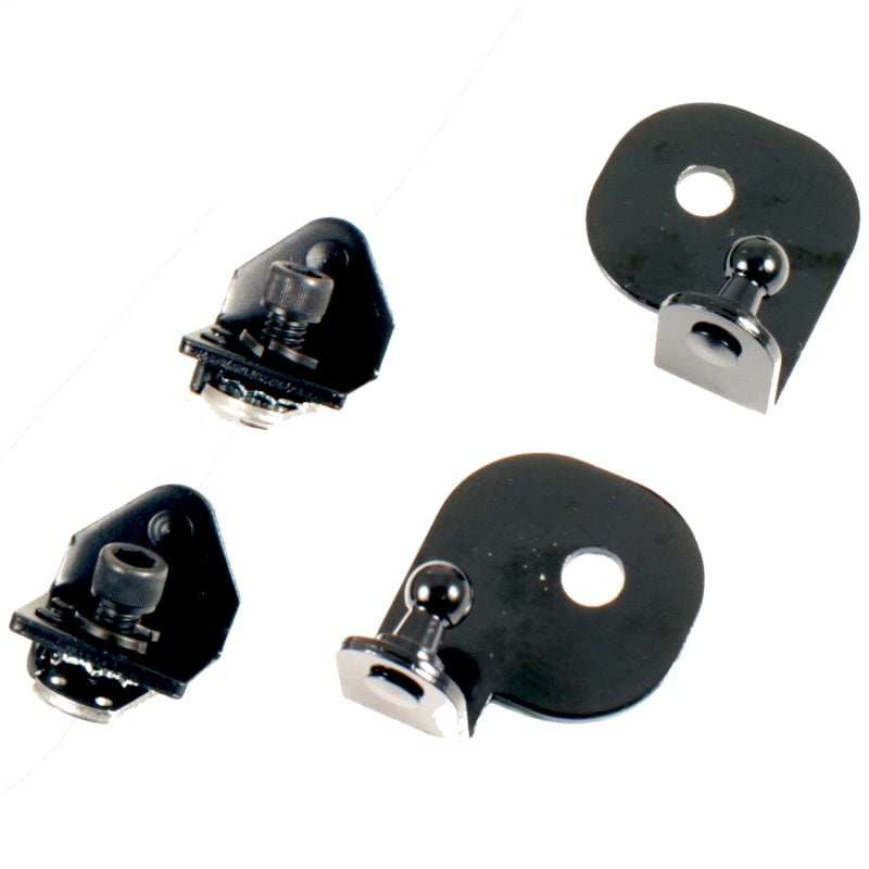 Ford Racing 15-23 Ford Mustang Hood Lift Kit w/Laser Engraving Ford Logo (Excl GT350/GT350R) Ford Racing Hood Struts  AXOPROS