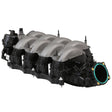 Ford Racing 18-21 Gen 3 5.0L Coyote Intake Manifold Ford Racing Intake Manifolds  AXOPROS