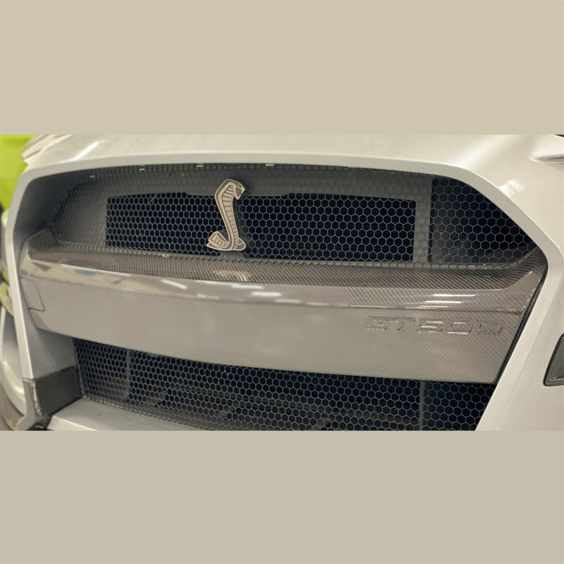 Ford Racing 20-21 Mustang GT500 Carbon Fiber Bumper Insert Ford Racing Bumper Covers - Front  AXOPROS
