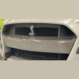 Ford Racing 20-21 Mustang GT500 Carbon Fiber Bumper Insert Ford Racing Bumper Covers - Front  AXOPROS