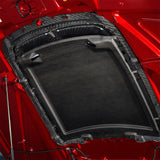 Ford Racing 20-22 Mustang GT500 Carbon Fiber Hood Vent Kit Ford Racing Hoods  AXOPROS